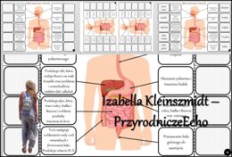 Notatka okienkowa/stacja zadaniowe/notatka interaktywna/notatka graficzna/karta pracy/sketchnotka „Budowa układu pokarmowego” w pdf. Biologia 7, dział „Układ pokarmowy”. Materiał wykonany na podstawie podręcznika z wydawnictwa Nowa Era – nowość 2024/2025