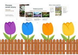 MEGA PAKA NA DZIEŃ WIOSNY