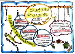 Klasa 4. Przyroda. Karta pracy. Zależności pokarmowe