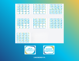 Together 6: Unit 5 – Kompletny Zestaw Kart Memory ze słownictwem (88 kart!)