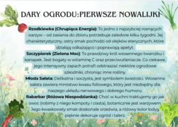 Ekspresowa Gazetka WIosenne Dary| Zawiera plakat XXL 4 x A4|  Edukacyjna i kolorowa dekoracja klasy, korytarza  lub biblioteki