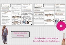 Minizestaw do tematu „Ryby - zwierzęta środowiska wodnego” – sketchnotka + karta pracy w pdf + gratisowy link do prezentacji multimedialnej niekomercyjnej wykonanej w genial.ly do indywidualnego pobrania i użycia do celów niekomercyjnych. Biologia 6, Dzi