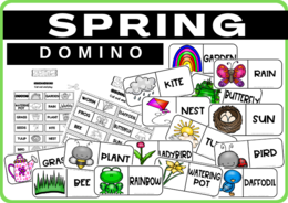 SPRING - DOMINO