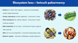 Prezentacja multimedialna. Różne ekosystemy (las, jezioro, góry). Zależności między organizmami