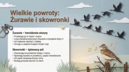 Marzec - gazetka szkolna, gazetka tematyczna, prezentacja, plansze