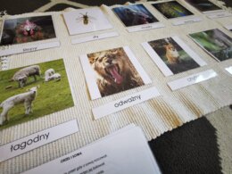 Zwierzęta - porównania - MDJO - bajki - karty montessori