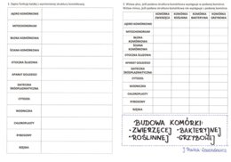 Budowa komórki zwierzęcej, roślinnej, bakteryjnej i grzybowej - karta pracy