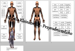Budowa układu szkieletowego – układanka do zalaminowania. Przyroda 4 / Biologia 7. Układy narządów człowieka. Przyroda 4, „Odkrywamy tajemnice ciała człowieka”.
