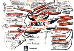 Biologia klasa 5 - korzeń