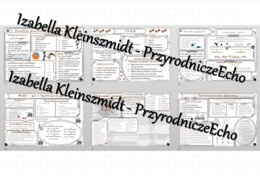 Zestaw sketchnotek – notatek do całego działu „Gazy i tlenki” wykonana w power point do edycji - wykonanych w power point do edycji. Chemia 7