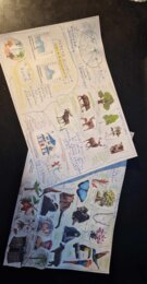 Materiał do wycięcia/wycinanka do notatki „W wilgotnym lesie równikowym i w lasach liściastych i mieszanych” w pdf. Geografia 5, dział „Krajobrazy świata”.