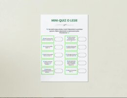 Plakat z mapą myśli. LAS