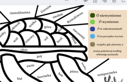 Kolorowanka ortograficzna - ó