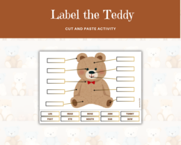 Label the Teddy - nauka Części Ciała z Pluszowym Misiem – zadania na wycinanie i przyklejanie, język angielski
