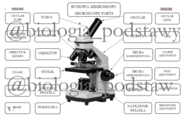 Klasa 5 - budowa mikroskopu - notatka z elementami angielskiego