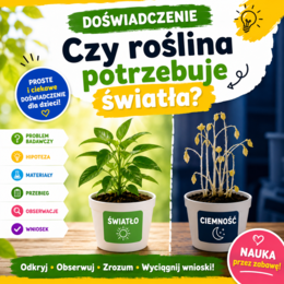Doświadczenie „Czy roślina potrzebuje światła?”