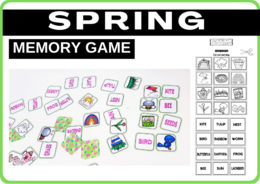 SPRING - GRA MEMORY