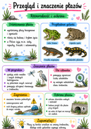Notatki, które uczą – biologia klasa 6