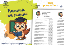 Kamienie na szaniec. Test prawda/fałsz. Kartkówka z treści lektury. Lektura obowiązkowa