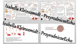 Minizestaw na temat „Budowa i rola układu nerwowego” – sketchnotka + karta pracy w power point + gratisowy link do prezentacji multimedialnej niekomercyjnej wykonanej w genial.ly do indywidualnego pobrania i użycia do celów niekomercyjnych. Biologia 7, „