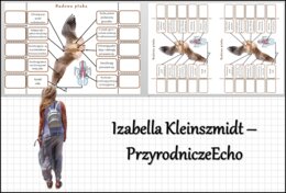 Notatka okienkowa „Budowa ptaka”, „Ptaki-kręgowce zdolne do lotu” w pdf. Biologia 6 dział „Kręgowce stałocieplne”.