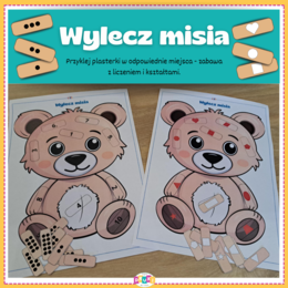 Wylecz misia - Dzień Misia