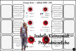 Notatka okienkowa/stacja zadaniowe/notatka/notatka graficzna/karta pracy/sketchnotka „Dziedziczenie grupy krwi”, „Jak zapisać krzyżówkę genetyczną?” w pdf. Biologia 8 dział „Genetyka”. Materiał wykonany na podstawie podręcznika z wydawnictwa Nowa Era – n