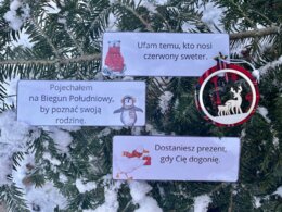 Zdania złożone podrzędnie - przykłady świąteczne - Boże Narodzenie