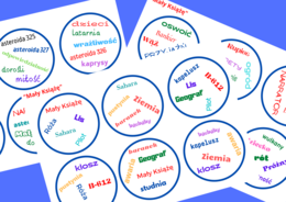 DOOBLE "Mały Książę"