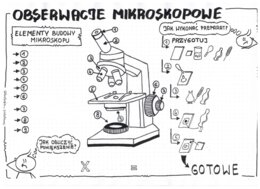 Obserwacje mikroskopowe - klasa 5 - KP