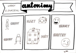 Język polski. Antonimy i synonimy