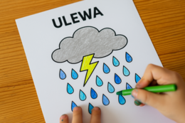 Karta pracy: "Rodzaje deszczu"