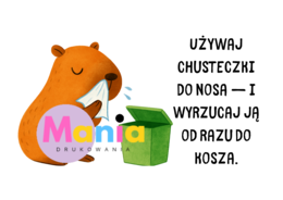 Kapibara w przedszkolu – Zasady higieny i dobre nawyki