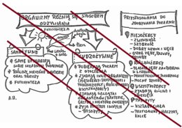 Organizmy różnią się sposobem odżywiania