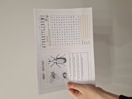 Owady - nowoczesna karta pracy