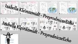 Zestaw sketchnotek i kart pracy + gratisowe linki do prezentacji multimedialnych niekomercyjnych wykonanych w genial.ly do indywidualnego pobrania i użycia do celów niekomercyjnych. Geografia 5, „Lądy i oceany na Ziemi”