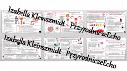 Zestaw sketchnotek – notatek do całego działu „Rozmnażanie i rozwój człowieka” wykonanych w power point do edycji. Biologia 7