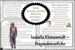 Zestaw sketchnotek/notatek/streszczeń/wklejek/ściąg dla ucznia i nauczyciela w pdf. Biologia 5 dział „Klasyfikacja i systematyka. Wirusy. Bakterie. Prostisty. Grzyby.”. Notatki zostały wykonane na podstawie podręcznika z wydawnictwa WSiP.