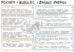 klasa 7 - Pokarm budulec i źródło energii - sketchnotka