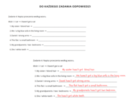 Gramatyka klasa 4: Czasownik  have got + przymiotniki dzierżawcze na podstawie  poręcznika English Class A1