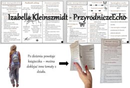 Broszurka/notatka/sketchnotka/wklejka/ściąga dla ucznia/przypomnienie dla nauczyciela w pdf. Biologia 6 „Stawonogi i mięczaki” – „Owady-stawonogi zdolne do lotu”.