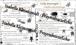 Sketchnotka - notatka „Cechy stawonogów” wykonana w power point do edycji. Biologia 6; „Stawonogi i mięczaki”