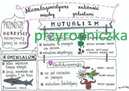 Klasa 8. Biologia. Mutualizm