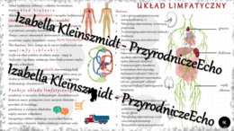 Sketchnotka - notatka „Układ limfatyczny” wykonana w power point do edycji. Biologia 7; „Układ krążenia”