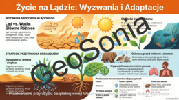 Warunki życia na lądzie przyroda klasa 4 sketchnotka