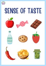 👅🍎 Taste It! – Smaki po angielsku 15 stron!