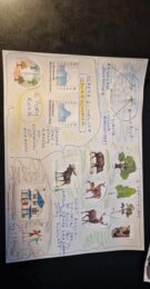 Materiał do wycięcia/wycinanka do notatki „W wilgotnym lesie równikowym i w lasach liściastych i mieszanych” w pdf. Geografia 5, dział „Krajobrazy świata”.