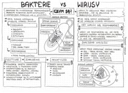 Klasa 5 - Bakterie i wirusy - pakiet