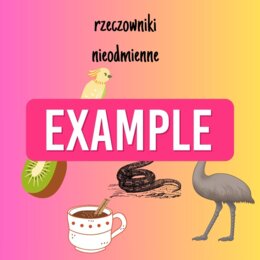 naklejka edukacyjna, rzeczowniki nieodmienne, 6 stron z taką samą naklejką, pdf