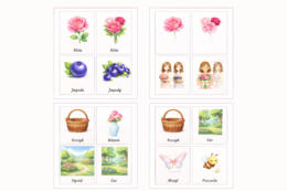 Fiszki obrazkowe. Róże i jagody